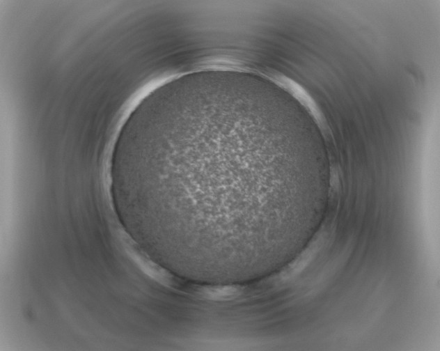 X0000115061435200911091437