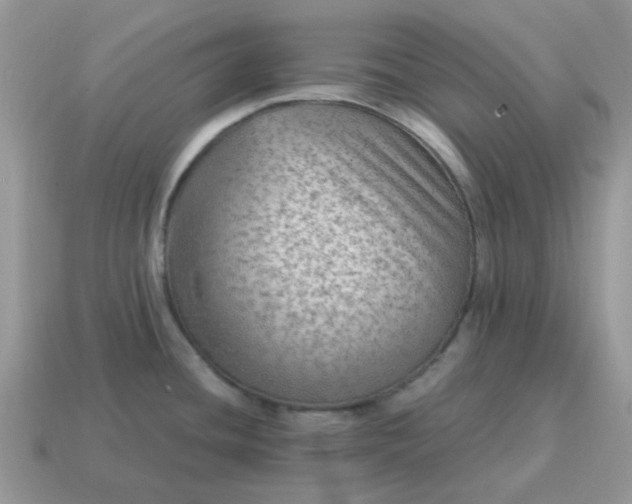 X0000115061436200911091437