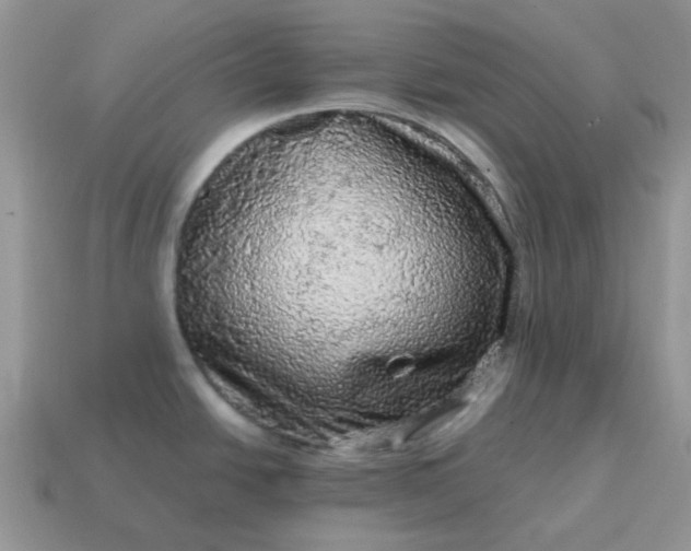X0000115061438200911091437