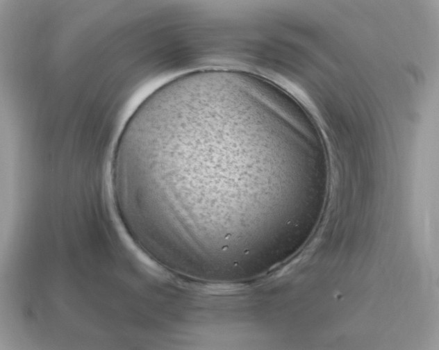 X0000115061440200911091437
