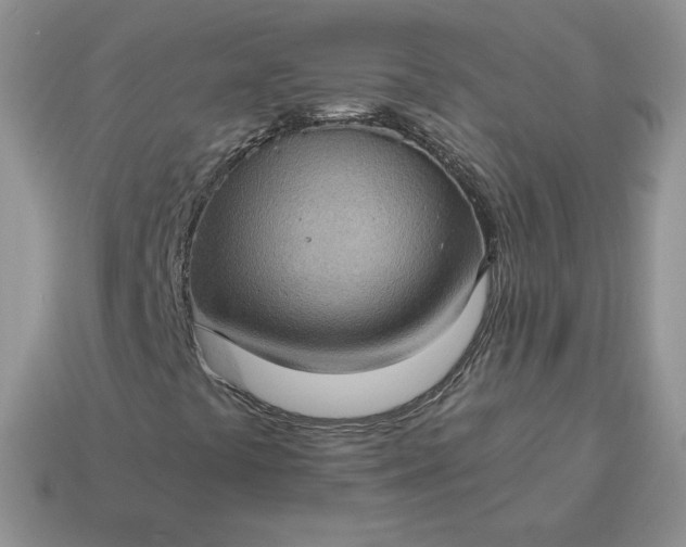 X0000115061441200911091436