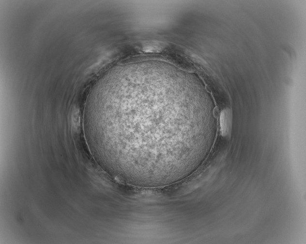 X0000115061443200911091436