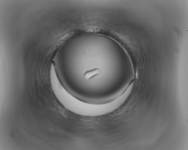 X0000115061444200911091436