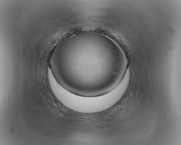 X0000115061445200911091436