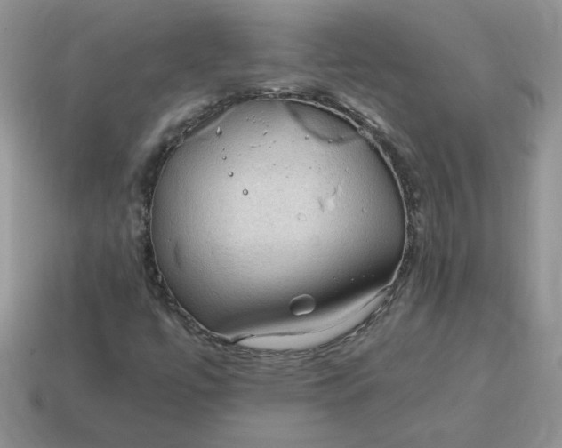 X0000115061447200911091436