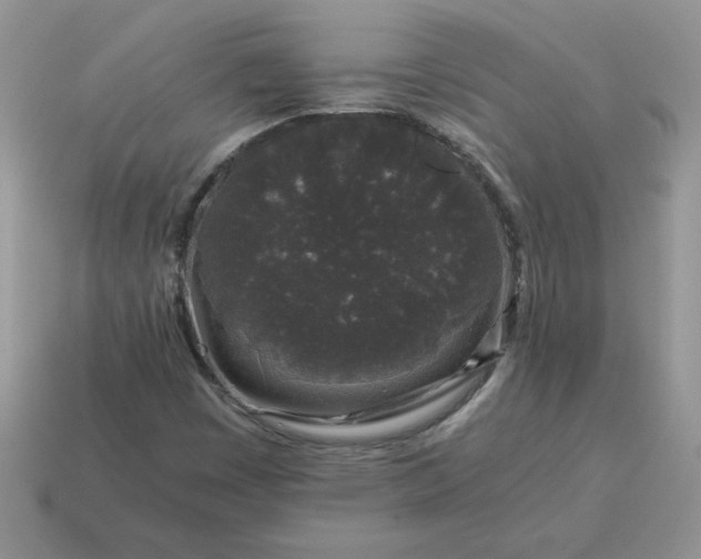 X0000115061449200911091436
