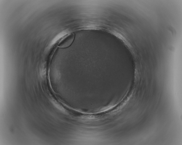 X0000115061450200911091436