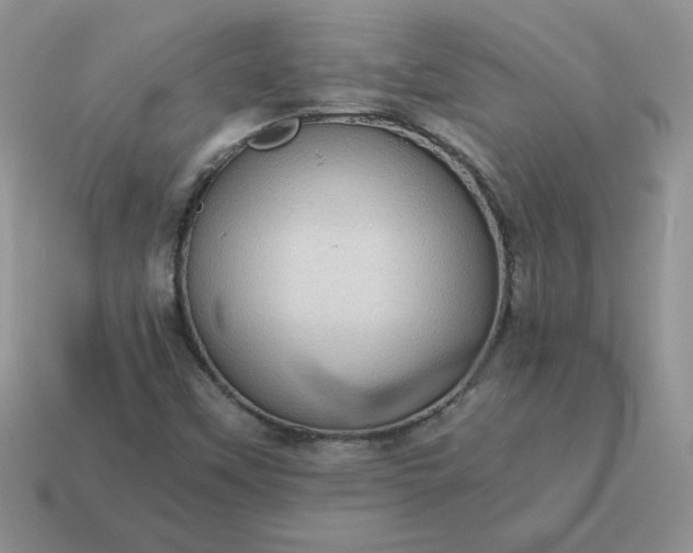 X0000115061451200911091436