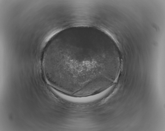 X0000115061453200911091436