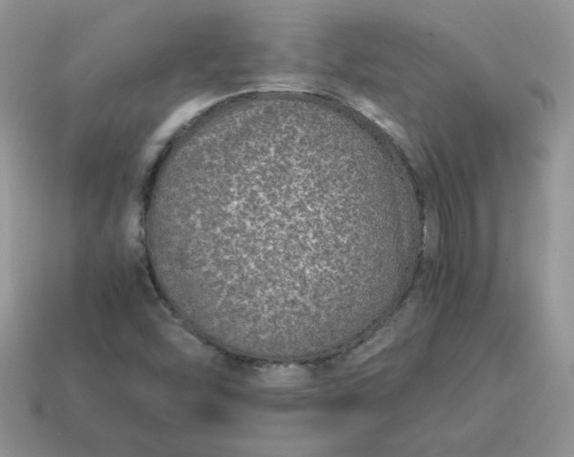 X0000115061454200911091436