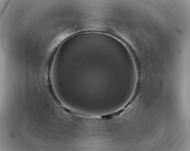X0000115061455200911091436