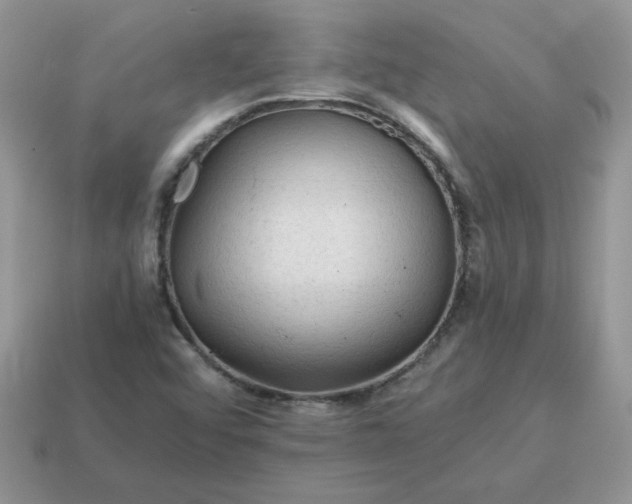 X0000115061456200911091436