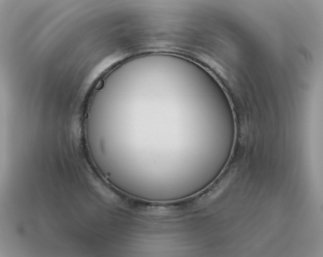 X0000115061458200911091436