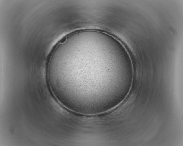 X0000115061460200911091436