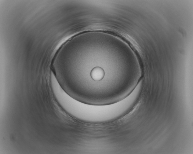 X0000115061465200911091436