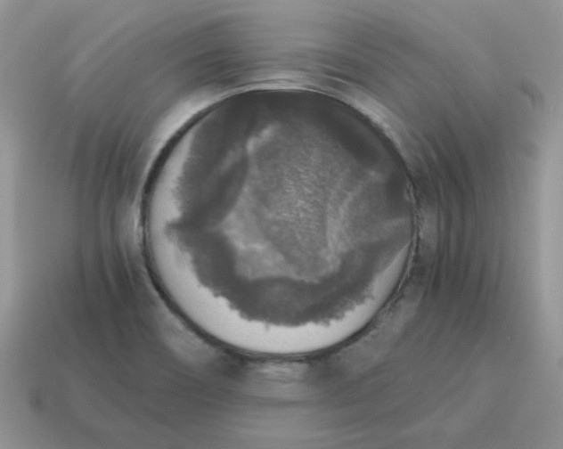 X0000115061466200911091436