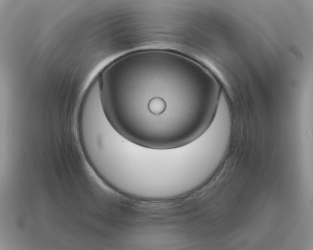 X0000115061468200911091436
