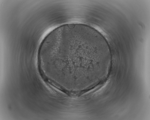 X0000115061469200911091436