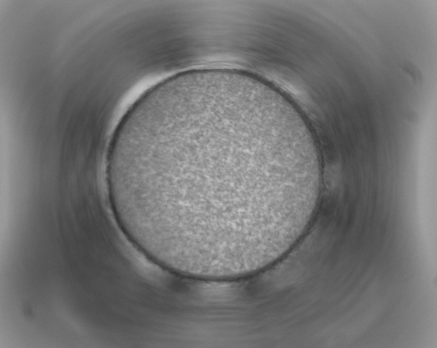 X0000115061470200911091436