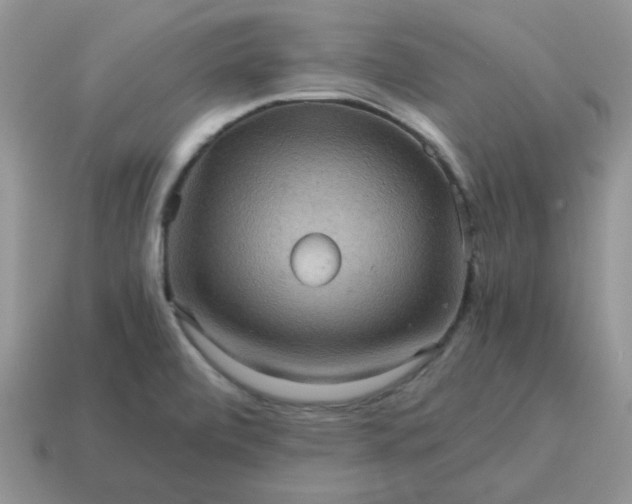 X0000115061472200911091436