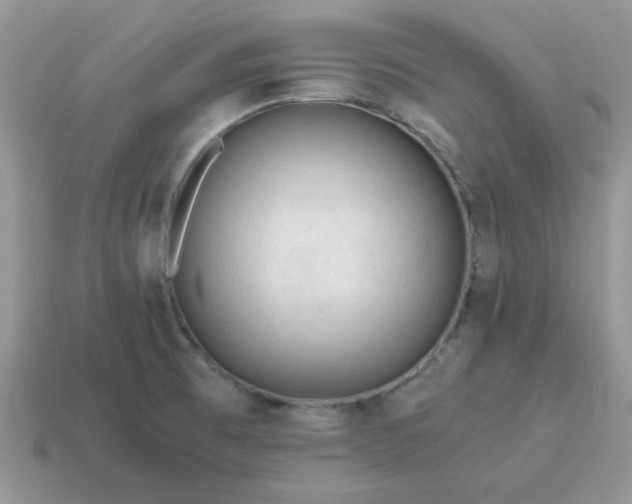 X0000115061473200911091436