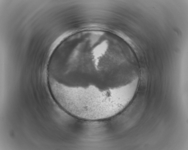 X0000115061474200911091436