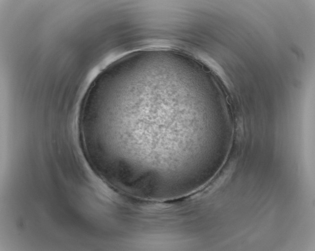X0000115061475200911091436