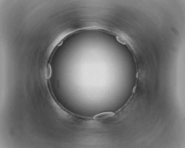 X0000115061476200911091436