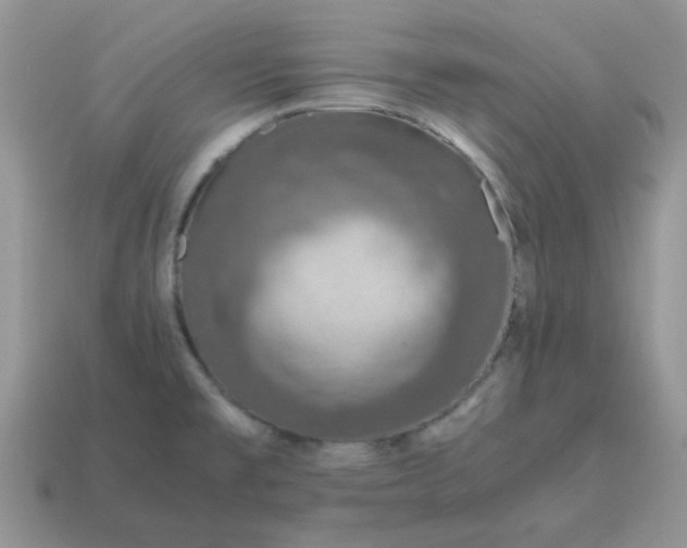 X0000115061477200911091436