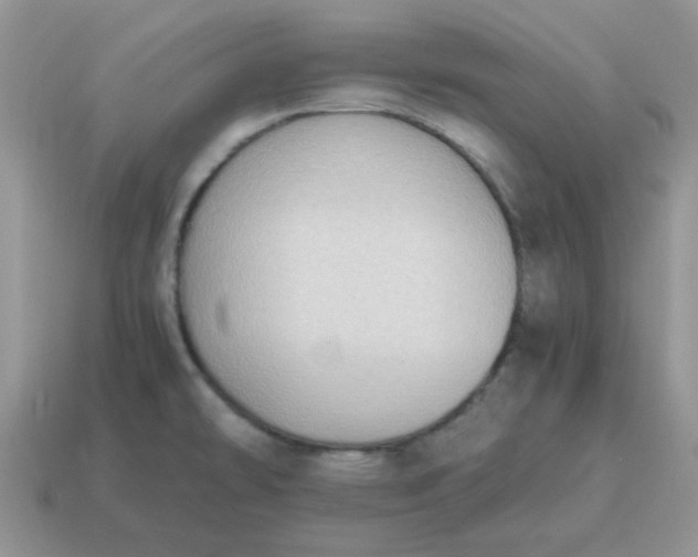 X0000115061478200911091436