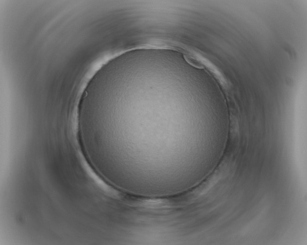 X0000115061479200911091436