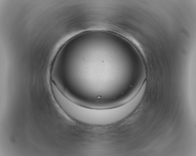 X0000115061480200911091436