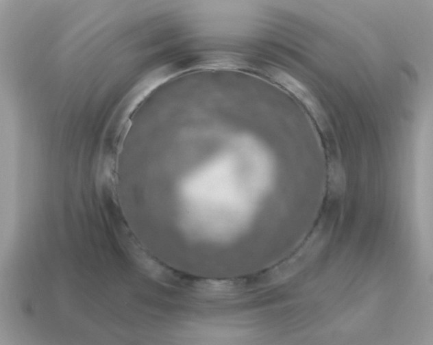 X0000115061481200911091436