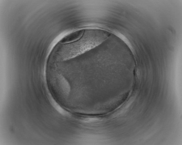 X0000115061482200911091435