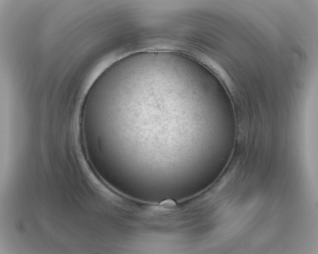 X0000115061483200911091435