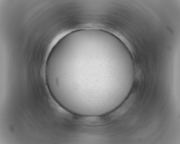 X0000115061486200911091435