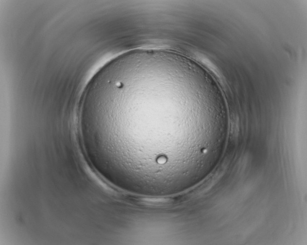 X0000115061487200911091435