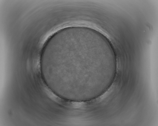 X0000115061498200911091435