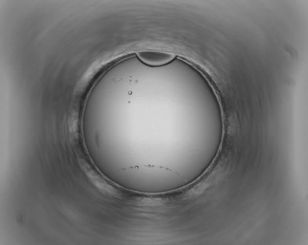X0000115061499200911091435