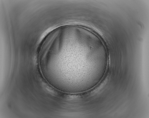 X0000115061501200911091435