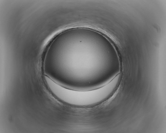 X0000115061502200911091435