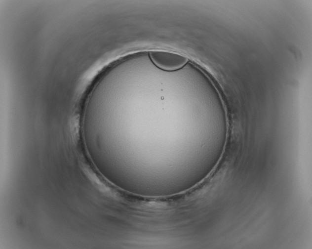 X0000115061503200911091435
