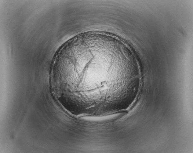 X0000115061505200911091435