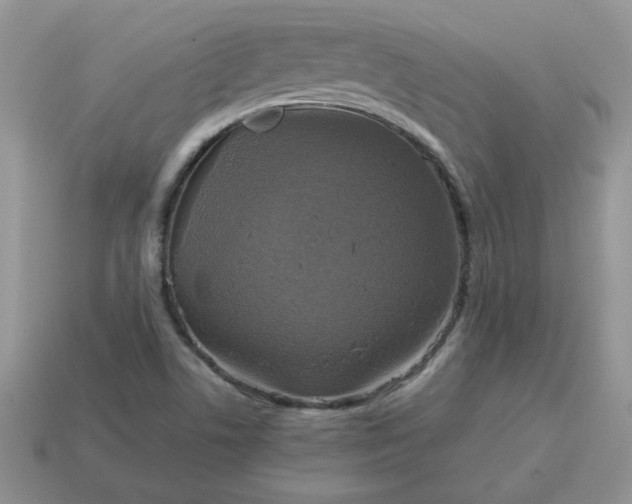 X0000115061506200911091435
