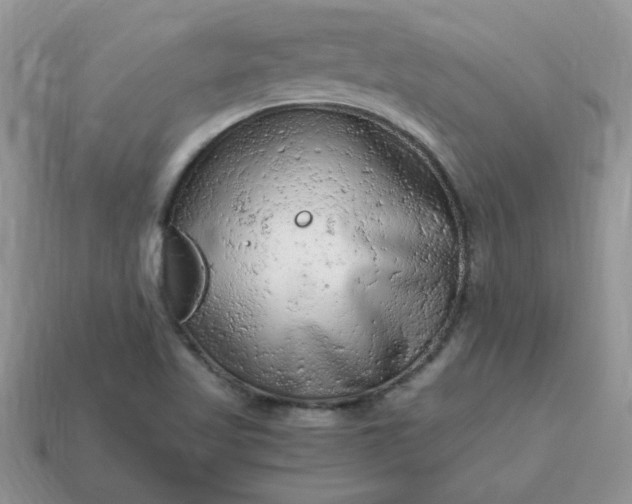 X0000115061509200911091435
