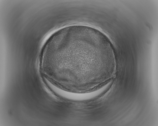 X0000115061511200911091435
