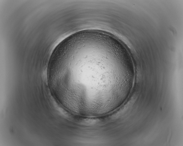 X0000115061513200911091435