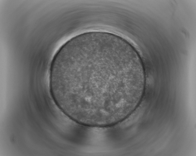 X0000115061514200911091435