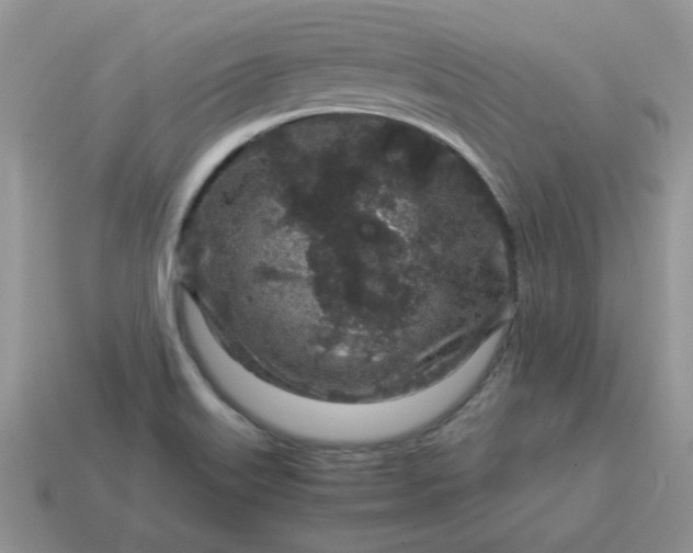 X0000115061515200911091435