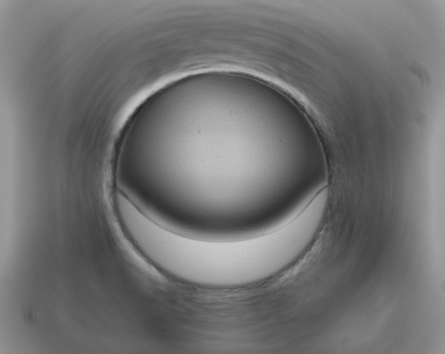 X0000115061518200911091435